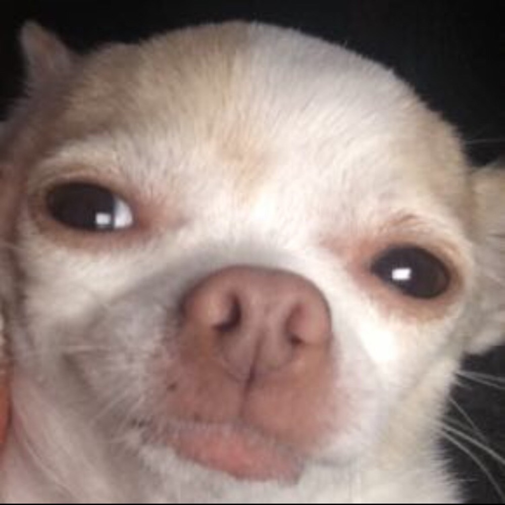 Meet your Posher, Daniela